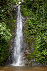Fototapeta na wymiar waterfall in the jungle of Costa Rica