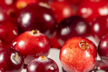 Red cranberry berries close-up background.