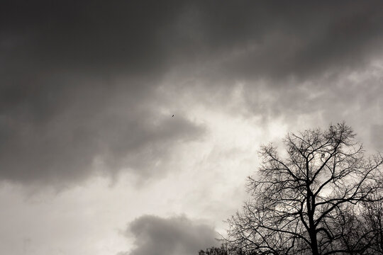 der regen kommt bald 