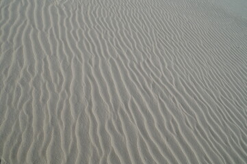 Fototapeta na wymiar sand from the North Sea coast (Island Baltrum in Germany) 