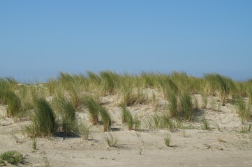 Scenic white sand dunes of Norderney Island in the North Sea in Germany