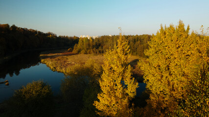Park area. A winding river with water lilies. Trees with yellow autumn leaves are visible. Aerial photography.