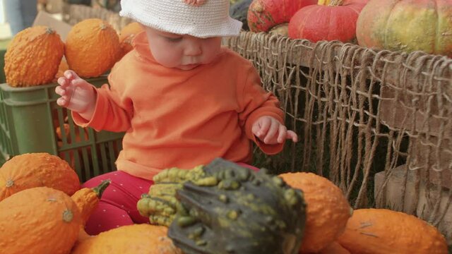 Toddler with vegetables. The baby is allowed to play with a green pumpkin at the farmers market, her mothers hands are straightening her panama on her head. Study of the surrounding world.