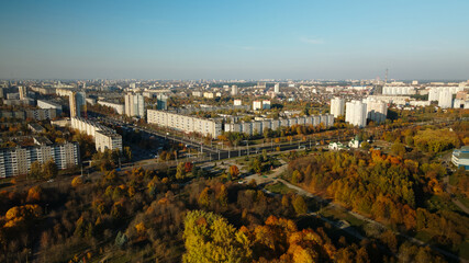 Flight over the autumn park. Trees with yellow autumn leaves are visible. On the horizon there is a blue sky and city houses. Aerial photography.