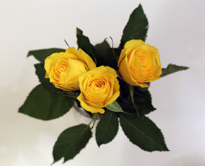 A bouquet of bright yellow roses photographed from above.