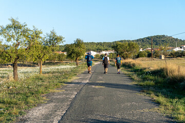 Three hikers seen from behind, walking along a country road, at sunset.