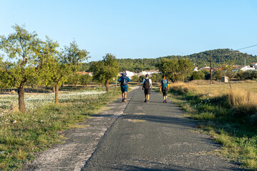 Obraz premium Three hikers seen from behind, walking along a country road, at sunset.