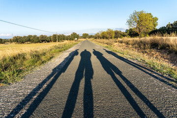 Four long shadows of people, projected on the asphalt of a country road.
