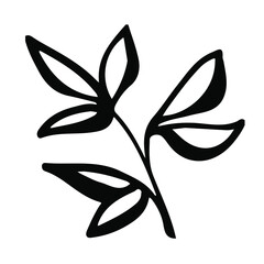 Hand drawn ink leaf in doodle style. Line art poster. Creative design. Botanical Modern creative hand drawn background. Botany decor.