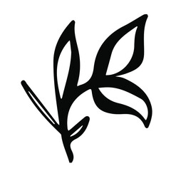 Hand drawn ink leaf in doodle style. Line art poster. Creative design. Botanical Modern creative hand drawn background. Botany decor.
