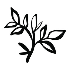 Hand drawn ink leaf in doodle style. Line art poster. Creative design. Botanical Modern creative hand drawn background. Botany decor.