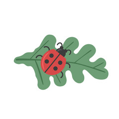 Ladybug sitting on green leaf flat color vector icon. Organic oak leaf, red ladybird beetle cartoon illustration. Lady bug symbol of good luck on white background. Happiness sign beetle design element