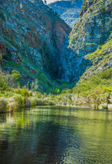 Fototapeta na wymiar Lake in front of a gorge in Greyton western cape south africa