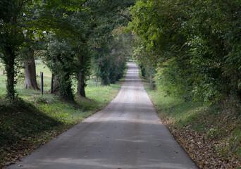 Kentucky prime farmland
