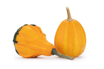 Verschiedene Kürbisse auf weißem Hintergrund als Dekoration zu Halloween