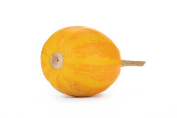 Einzelner Kürbis auf weißem Hintergrund als Dekoration zu Halloween