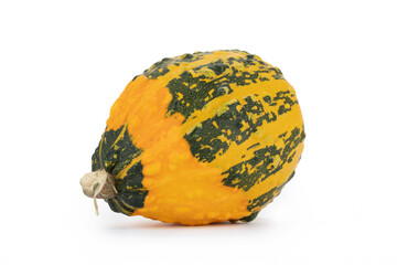 Einzelner Kürbis auf weißem Hintergrund als Dekoration zu Halloween