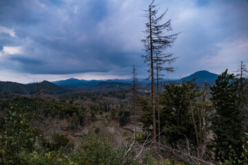 hiking in an amazing czech forest nature