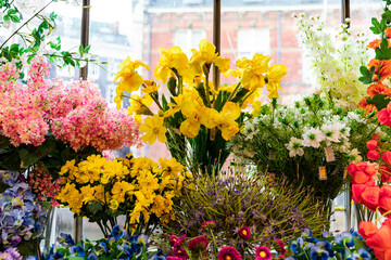 Schöne Blumen in einem Geschäft in Amsterdam, Hauptstadt von Holland, Niederlande.