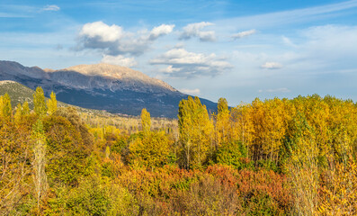 Obraz premium Autumn colors in Yeşilbaşköy, Burdur Ağlasun district...
