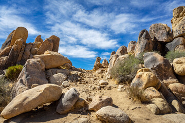 Fototapeta na wymiar Mojave Desert uphill hiking trail at Horsemen’s Center Park in Apple Valley, California