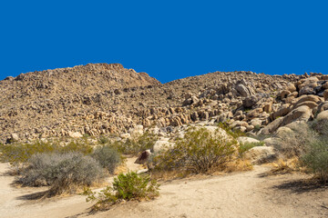 Boulders and rocks on a hill in the Mojave Desert