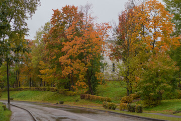 Naklejka premium Autumn city landscape, colored trees on a hill against the background of an old white building. Cloudy weather.