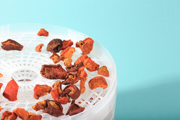 dryer for vegetables and fruits  - Image