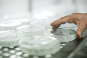 Production line pharmaceutical industry. Manufacturing of drugs and medications, pharmaceuticals.