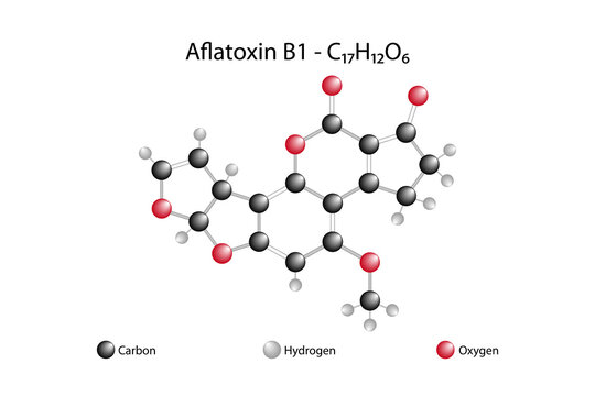 Molecular formula of aflatoxin. Aflatoxin B 1 is an aflatoxin. It is a very potent carcinogen.