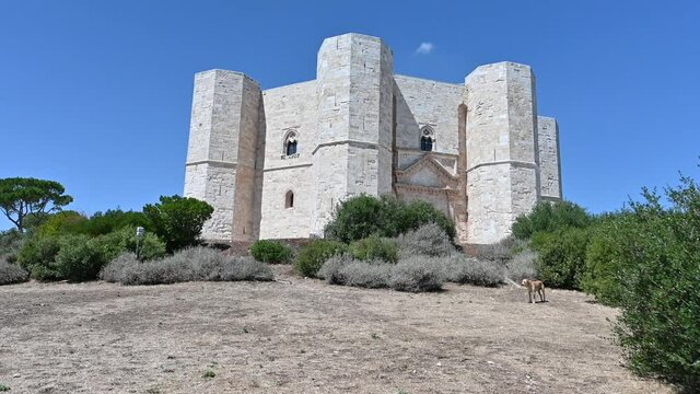 Andria, Puglia, Italy. August 2021. POV footage walking around Castel del Monte. On a magnificent summer day with clear skies, the fort dominates the scene.