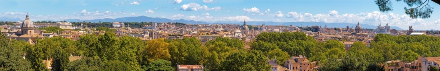 Fototapeta na wymiar Rome - The panorama of the city.