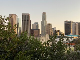 LOS ANGELES, CA, JAN 2021: skyscrapers and tall buildings in Downtown skyline seen over trees, from...