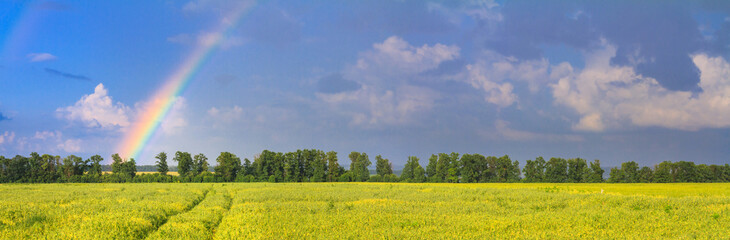 Agricultural field on horizon under the sky after the rain with colorful rainbow, panorama, banner, concept of weather forecast