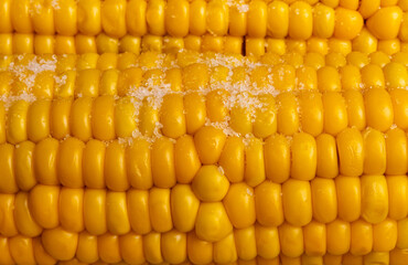 Background or texture of ripe, juicy corn. Boiled corn sprinkled with coarse salt, close-up. Close up of corn.