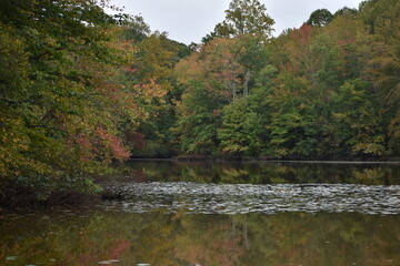 Autumn trees reflecting on the water