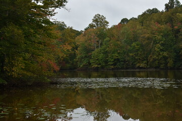 Autumn trees reflecting on the water