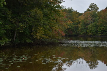 Fototapeta na wymiar Autumn trees reflecting on the water