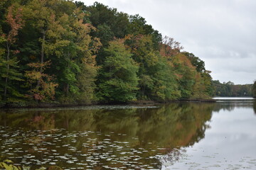 Autumn trees reflecting on the water