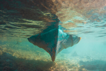 underside of boat in water