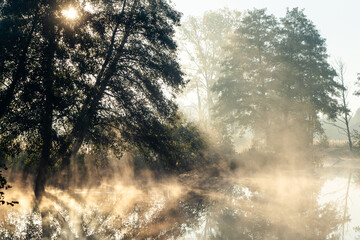 Drzewa nad rzeką, światło we mgle, rzeka Czerniawka, Staw w Białej, gmina Zgierz - obrazy, fototapety, plakaty