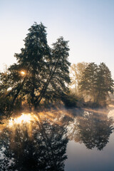 Drzewa nad rzeką, światło we mgle, rzeka Czerniawka, Staw w Białej, gmina Zgierz - obrazy, fototapety, plakaty