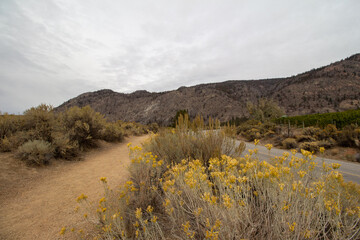British Columbia Cascades