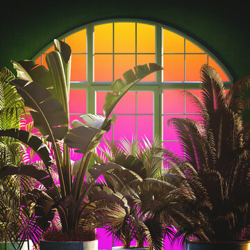 Tropical plants in a curved window with a gradient sunset