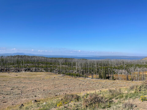 Yellowstone Lake