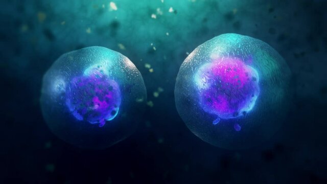 3D Animation of Cell division under a microscope. Cloning Cells. Cell mitosis concept.