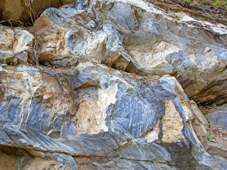 Brown stone rock texture with plants