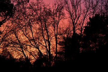 Red autumn evening sky in October after a storm in southern Michigan 
