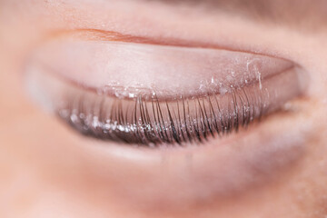 Eyebrow and eyelash care procedure in a beauty salon, close-up