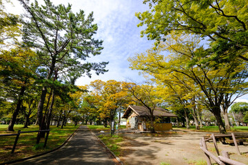 神奈川県横浜市の野島公園